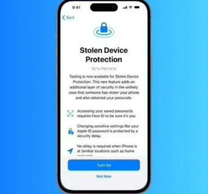 思茅苹果授权维修店分享被盗设备保护功能开启方法 