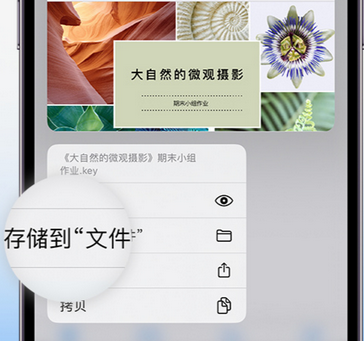 思茅apple维修中心分享iPhone文件应用中存储和找到下载文件