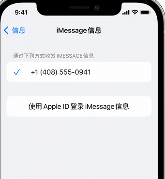 思茅apple维修iPhone上无法正常发送iMessage信息 