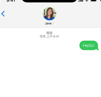 思茅apple维修iPhone上无法正常发送iMessage信息