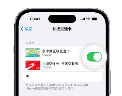 思茅apple维修点分享iPhone上更换Apple Pay快捷交通卡手绘卡面 