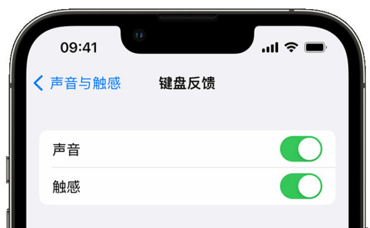 思茅苹果手机维修分享iPhone 14触感键盘使用方法 