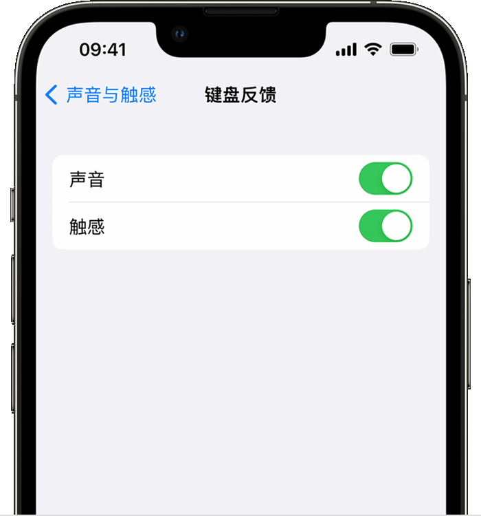 思茅苹果14维修店分享如何在 iPhone 14 机型中使用触感键盘 