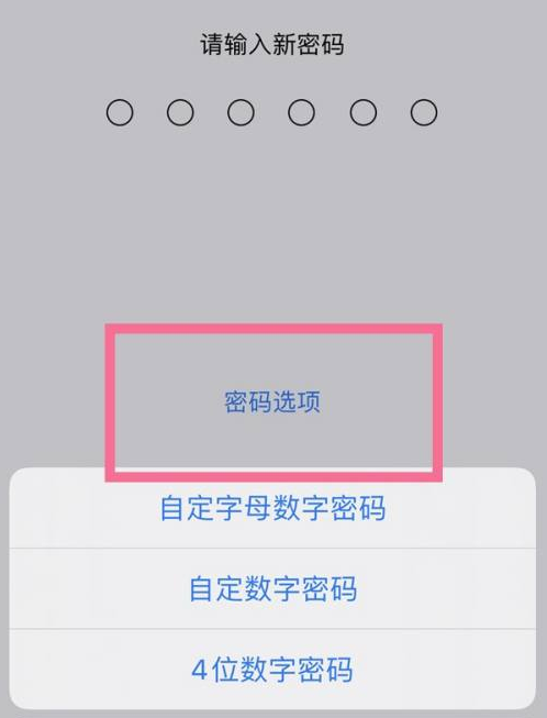 思茅苹果14维修分享iPhone 14plus设置密码的方法 