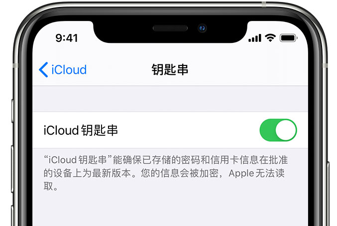 思茅苹果手机维修分享在 iPhone 上开启 iCloud 钥匙串之后会储存哪些信息 