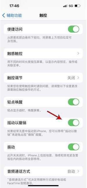 思茅苹果手机维修分享iPhone手机如何设置摇一摇删除文字 